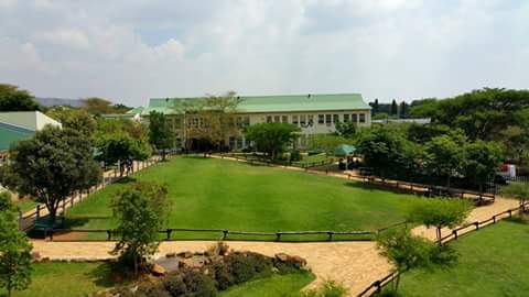 School lawn